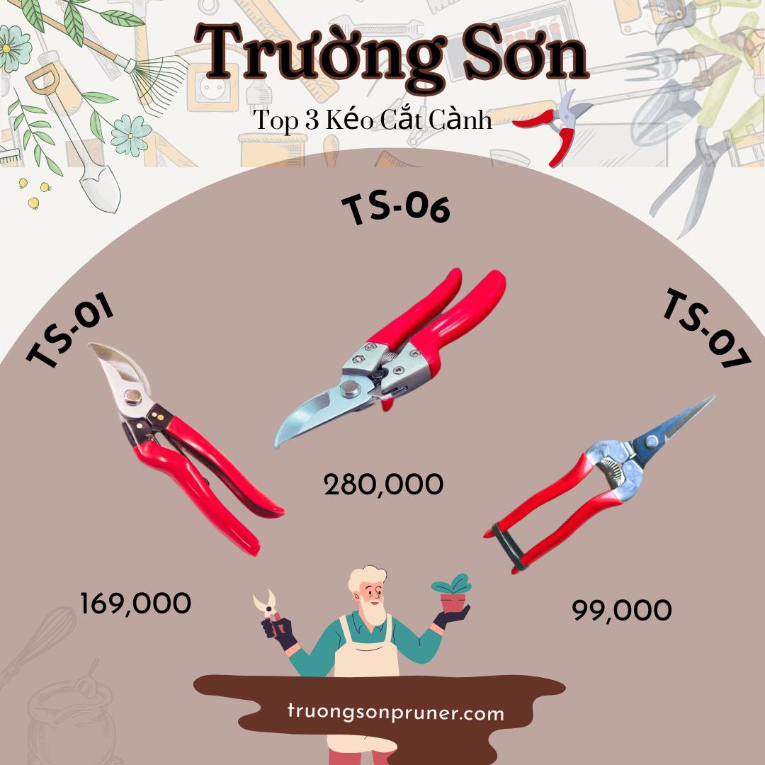 truongsonpruner.com