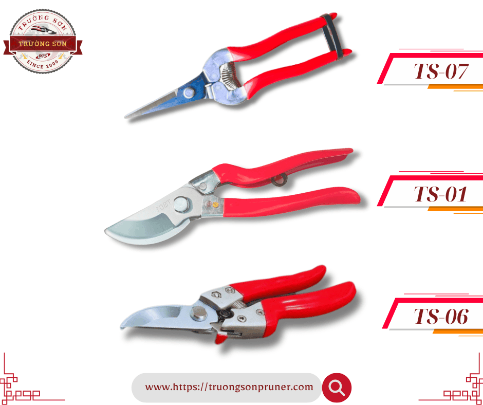 truongsonpruner.com