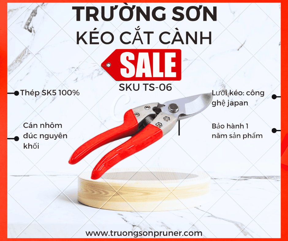 truongsonpruner.com